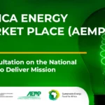 AfDB Hosts Gabon Energy Compact Talks For Mission 300