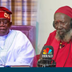 Maharaj Ji Tinubu 2027 reelection support