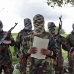 Al-Shabaab fighters