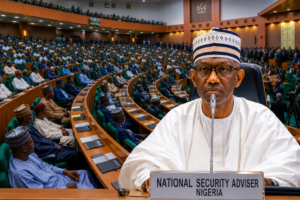 Nigeria Security Crisis: Reps Push State Police, Forest Guards 19 Nigeria Security Crisis, Reps Push State Police, Forest Guards